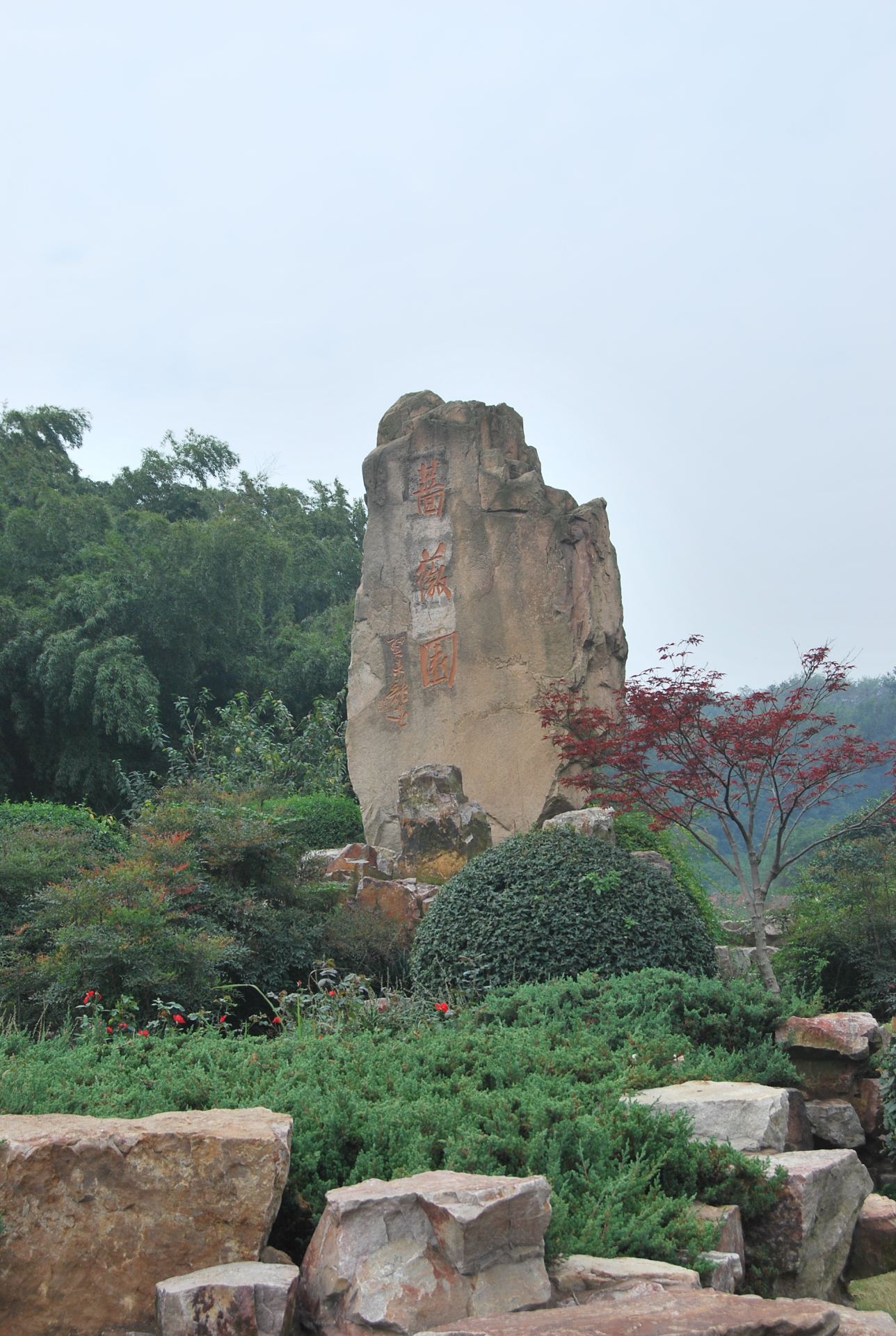 龙背山森林公园