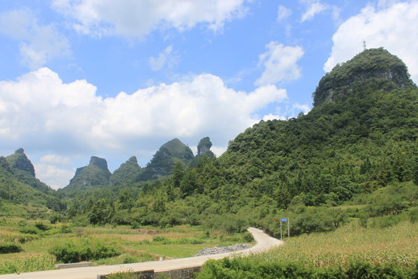 荔波石上森林图片