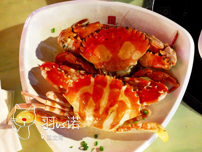 大手牵小手游亚龙湾(亚龙湾红树林度假酒店)