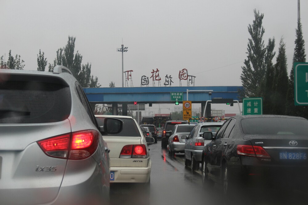 去那遥远遥远的地方,风吹草地见牛羊,找寻那金色的草原!