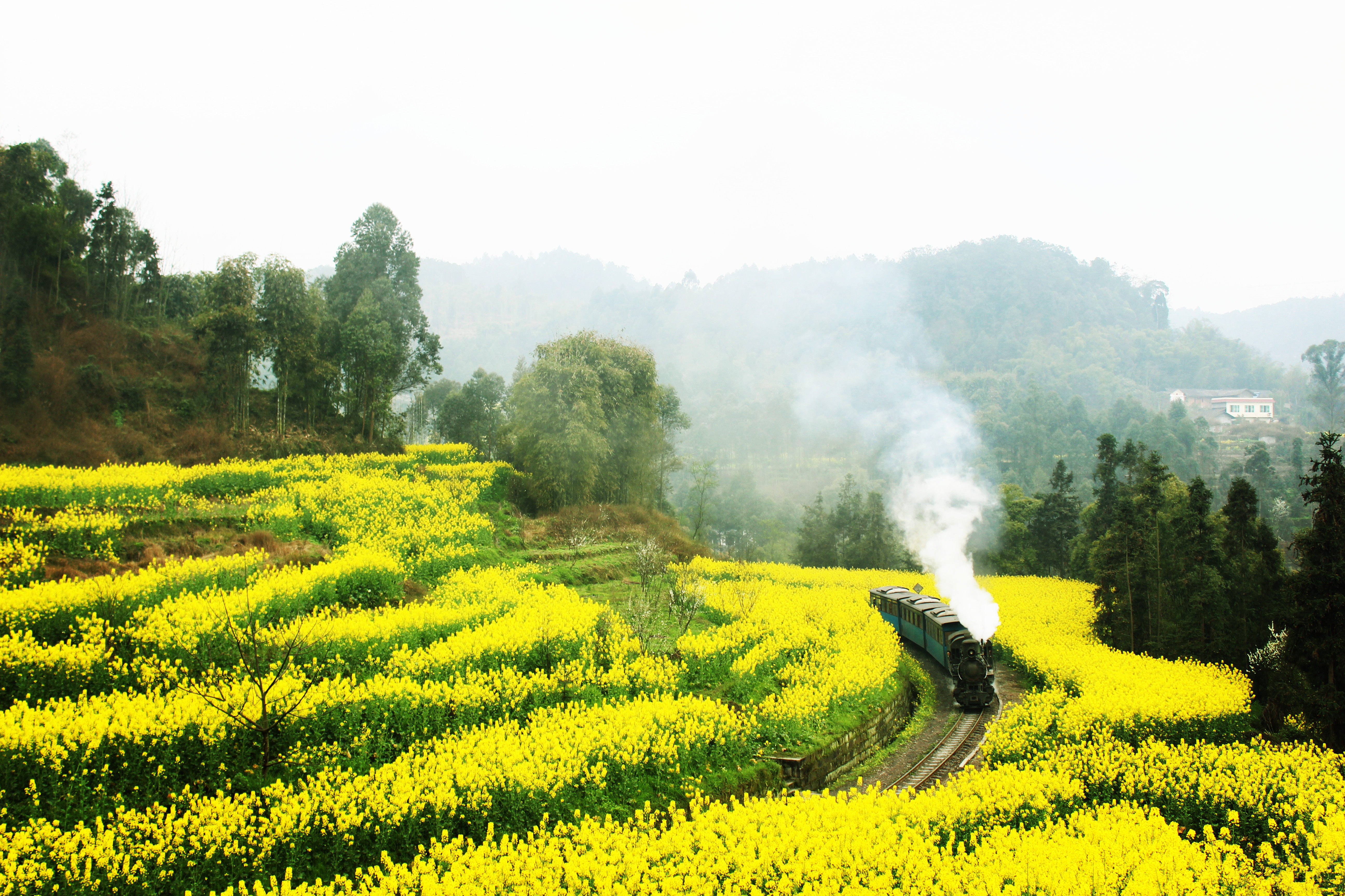 小煤人之旅——四川嘉阳蒸汽小火车(成都出发)