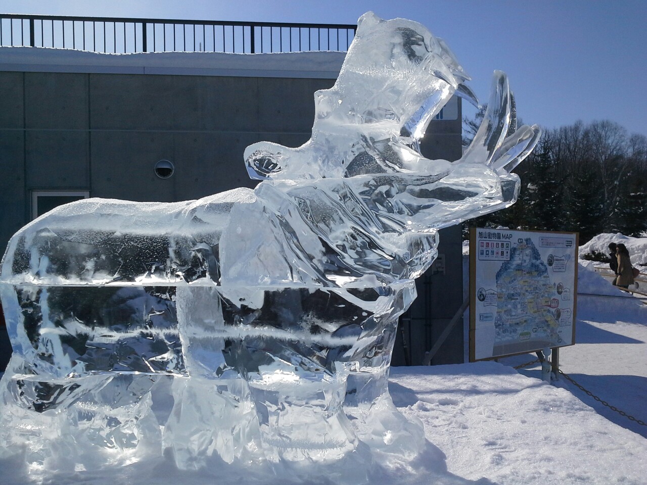 冰足雕动物图片