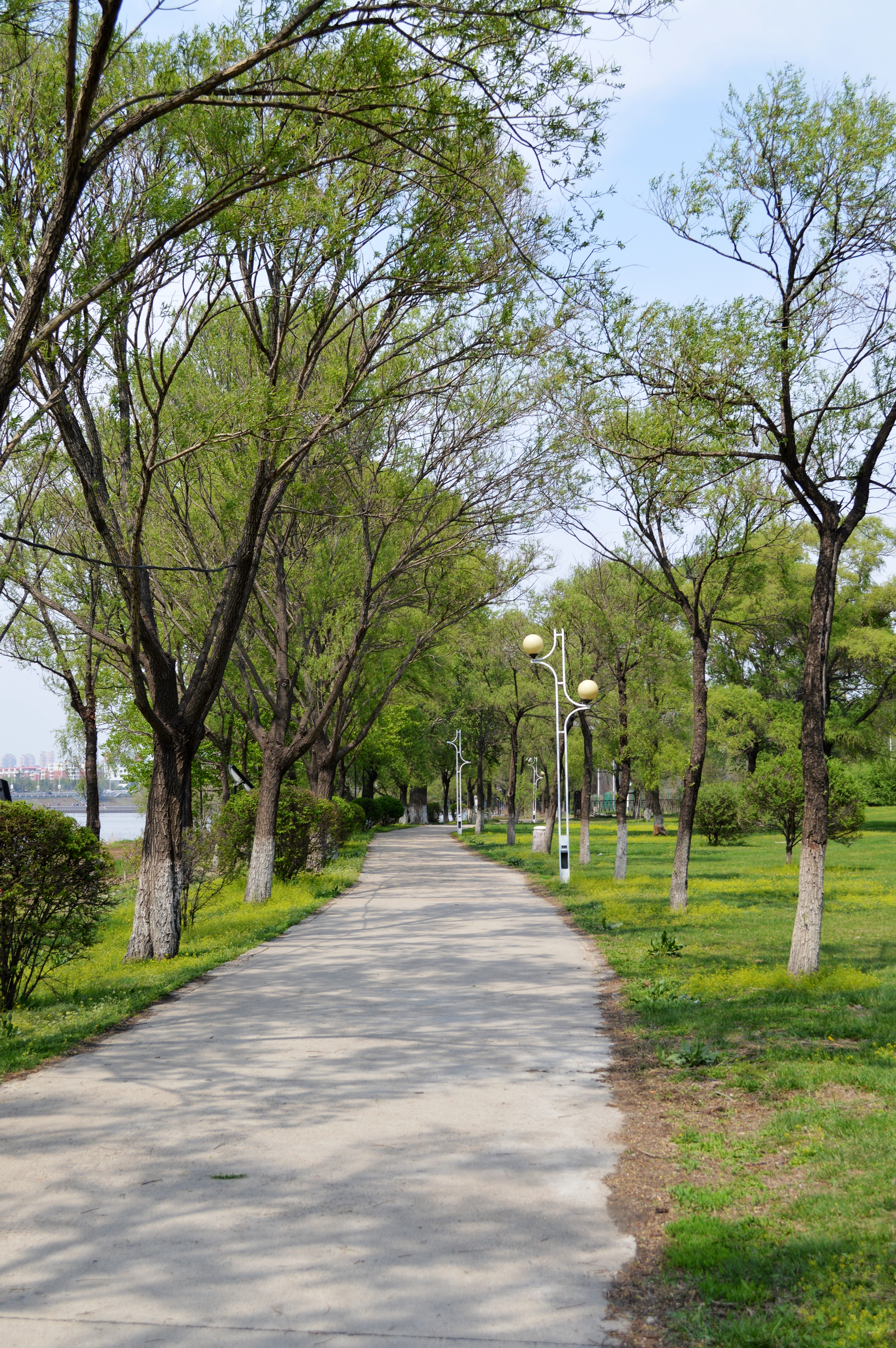 吉林,你好魅(丰满大坝/莱德马场/人民广场/北山/江滨公园)