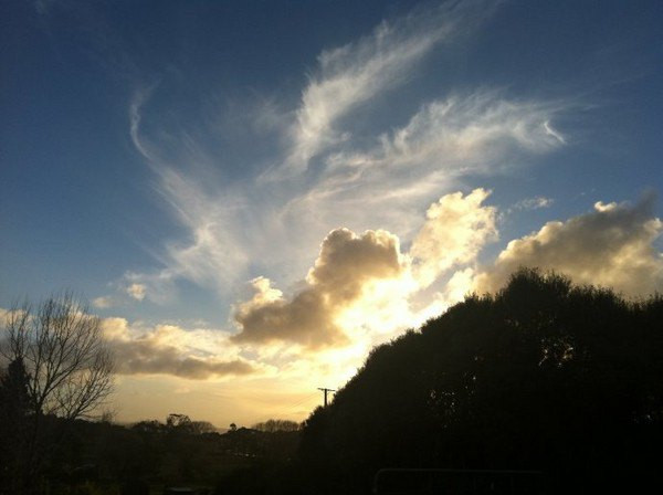 边做义工边旅行の新西兰环保义工体验报告