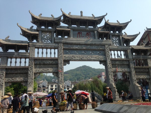 我的两次凤凰之行