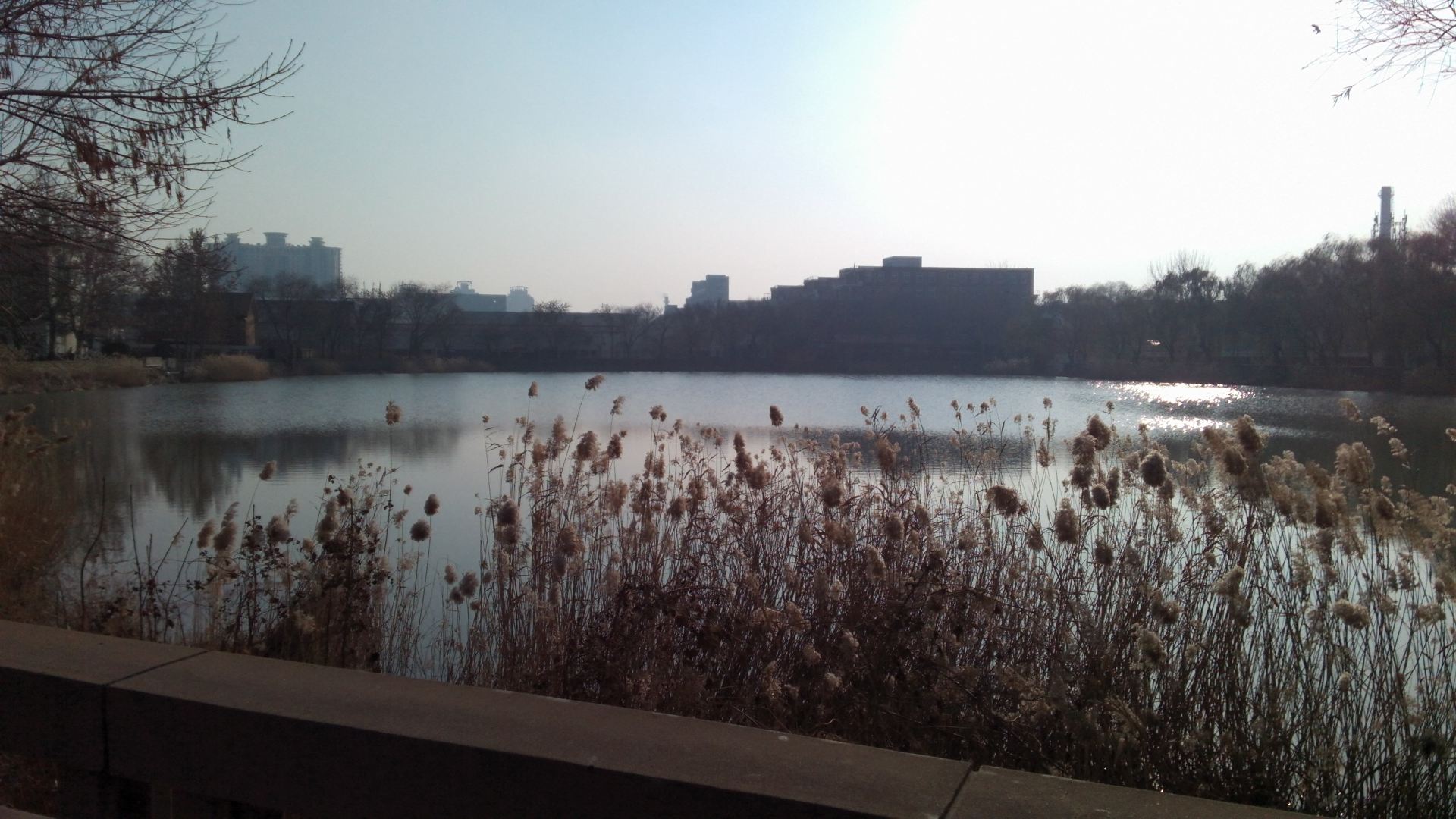 天津大学友谊湖,天津大学图片,天津大学校园_大山谷图库