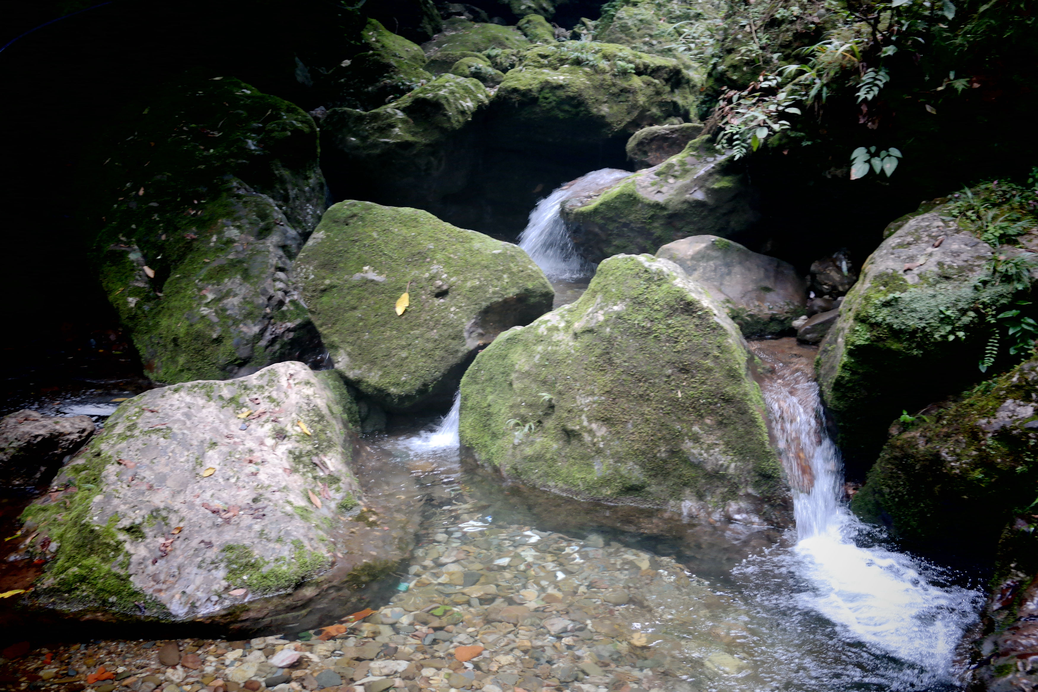 都江堰 青城山 九寨溝-寫意山水行 - 青城山遊記攻略【攜程攻略】