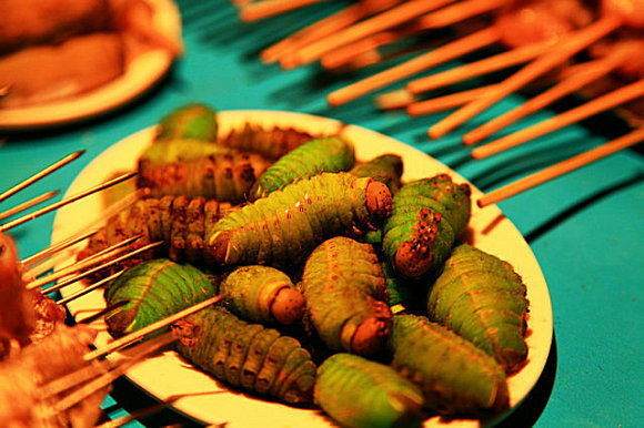 旁边还有更惊悚的——大青虫,老板娘看到胖子在拍照