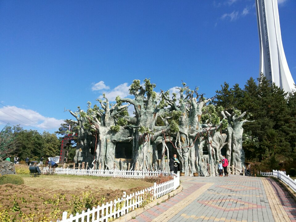 2019帽兒山國家森林公園_旅遊攻略_門票_地址_遊記點評,延吉旅遊景點