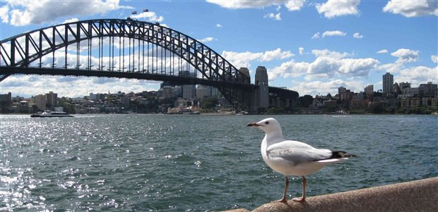 独走天下:大自然垂青的都市悉尼