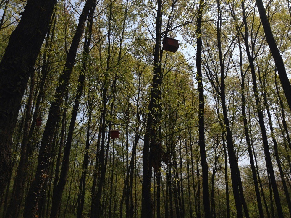 【攜程攻略】江蘇鐵山寺國家森林公園適合家庭親子旅遊嗎,鐵山寺國家