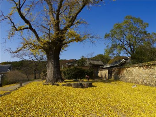 韩国海南新8景 韩国旅游 1 体验全南 全罗南道游记攻略 携程攻略