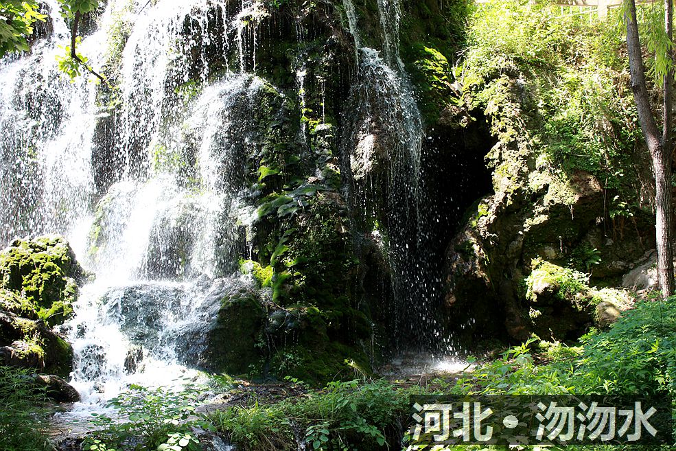 石家庄忽忽水怎么样?好找吗?