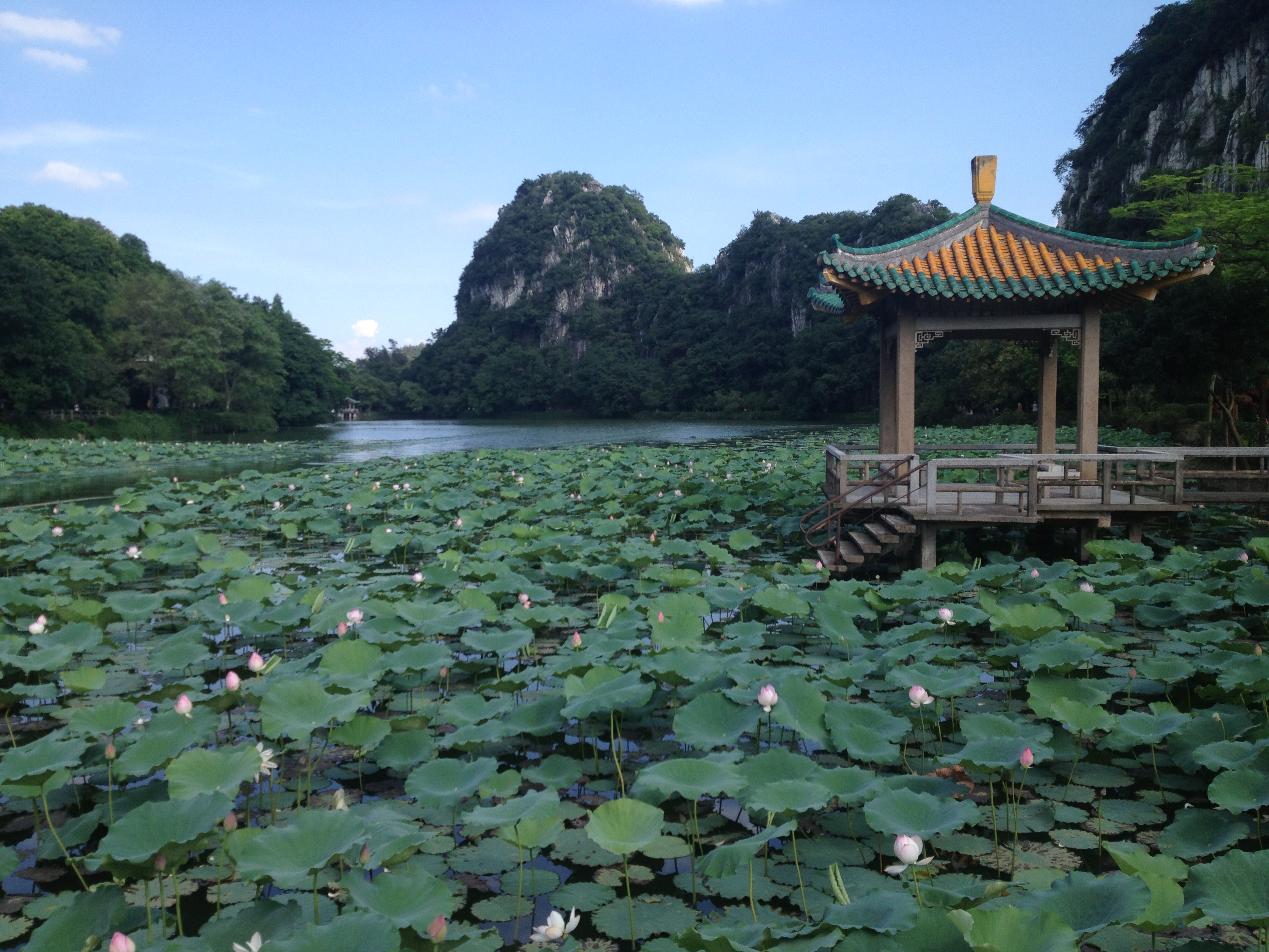 肇庆-七星岩和鼎湖山一夜两日自驾游 肇庆游记攻略【携程攻略】