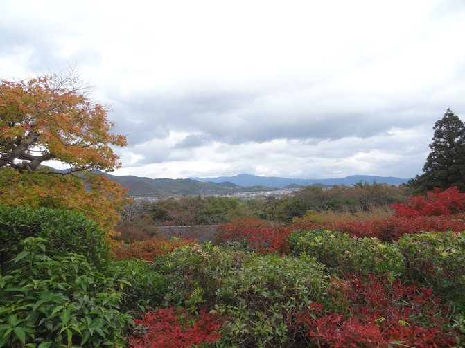 秋日红叶--京都、大阪、奈良、神户自由行(上)