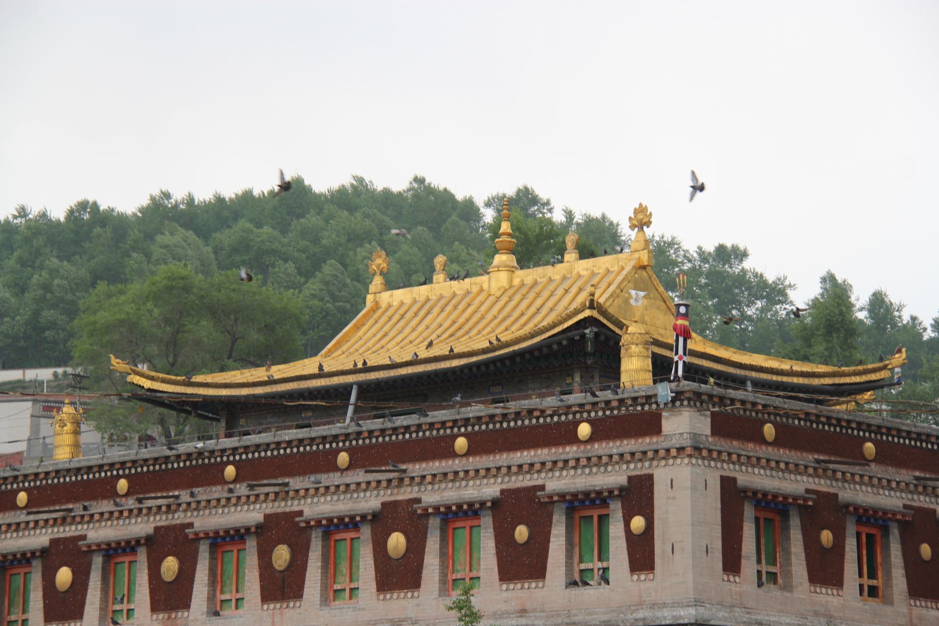 小金瓦殿                                               塔尔寺