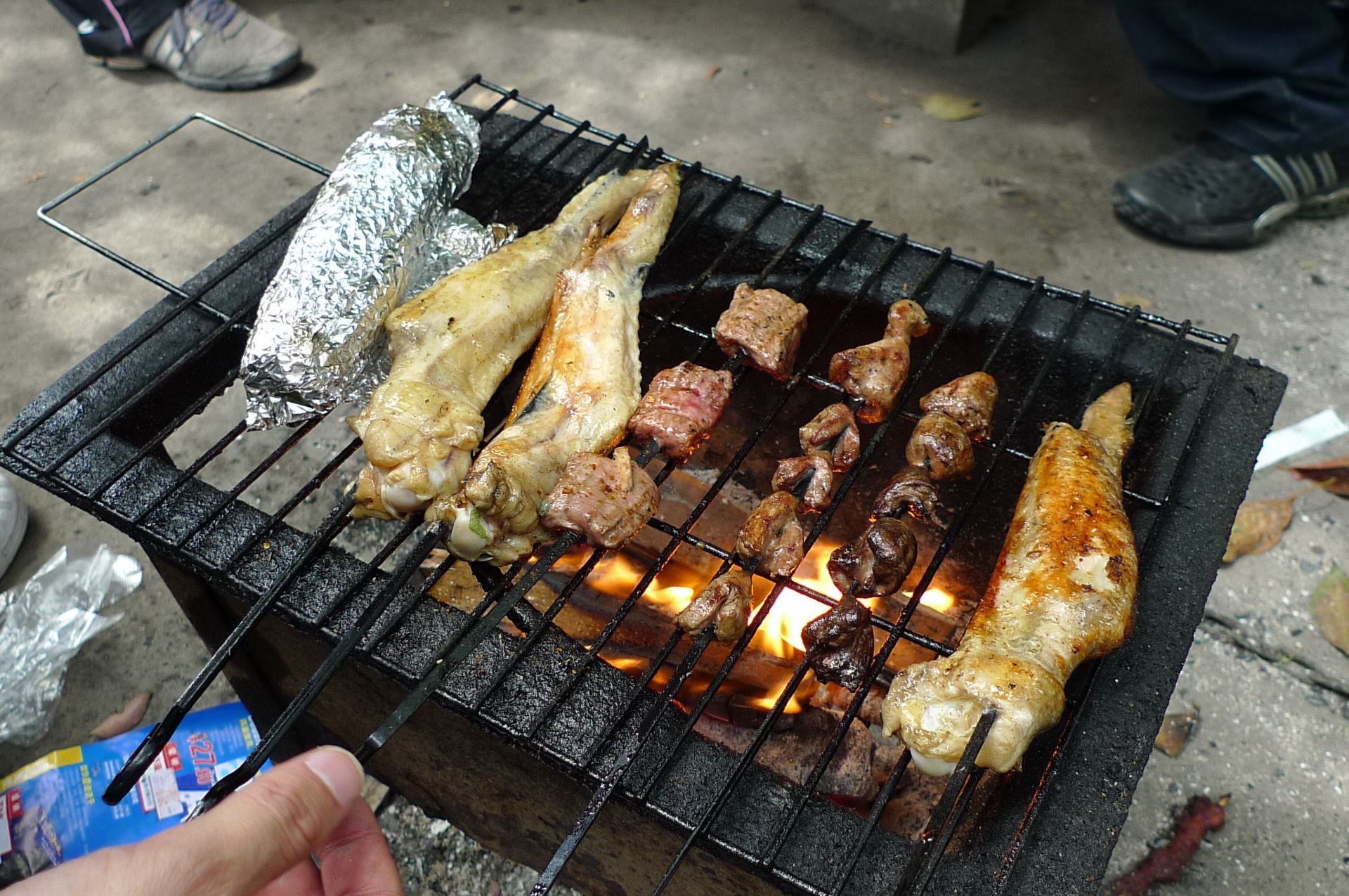 森林公园bbq