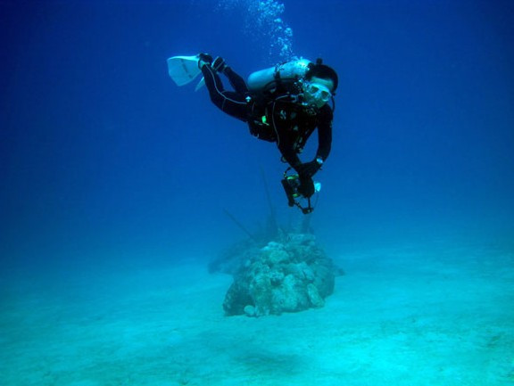 被大明星推荐过的潜水胜地
