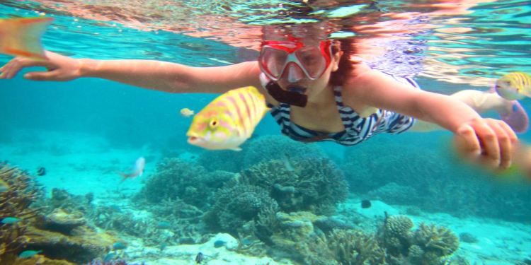 我也变成了鱼 马尔代夫蕉叶岛 Vakarufalhi 浮潜 蕉叶岛游记攻略 携程攻略 我也变成了鱼 马尔代夫蕉叶岛 Vakarufalhi 浮潜 蕉叶岛游记攻略 携程攻略