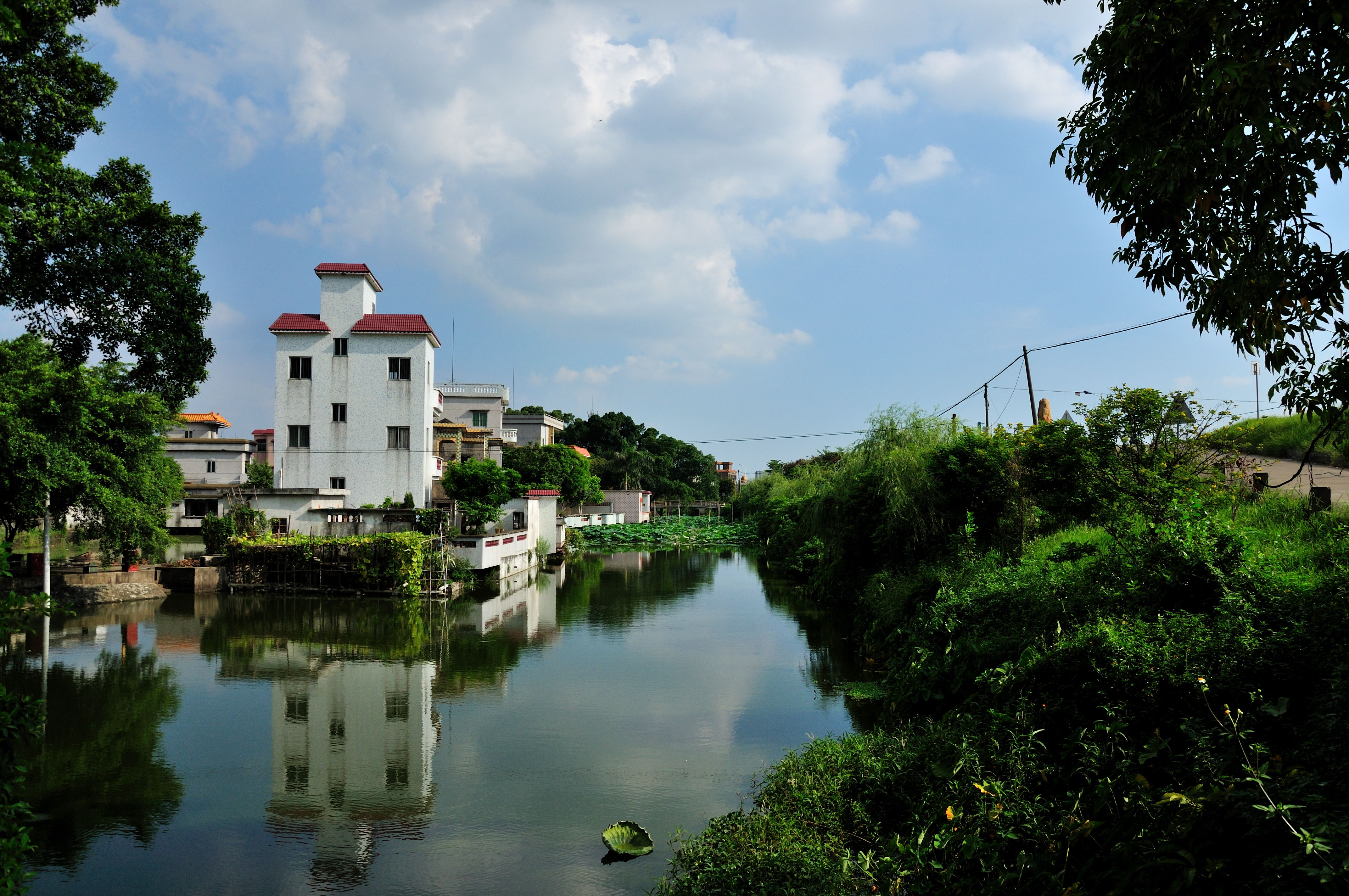 周日闲游佛山九江海寿岛