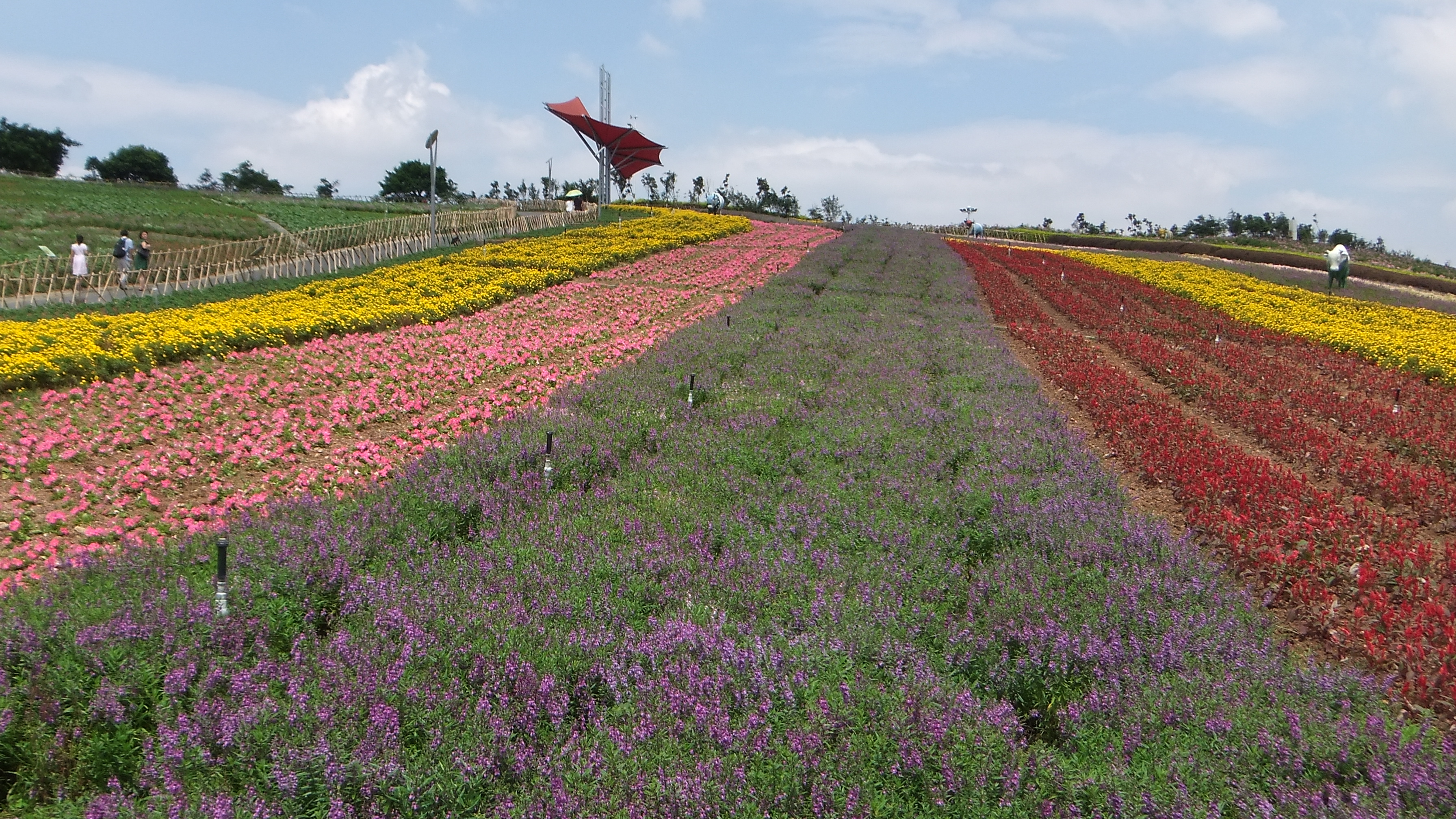 东部华侨城茶溪谷
