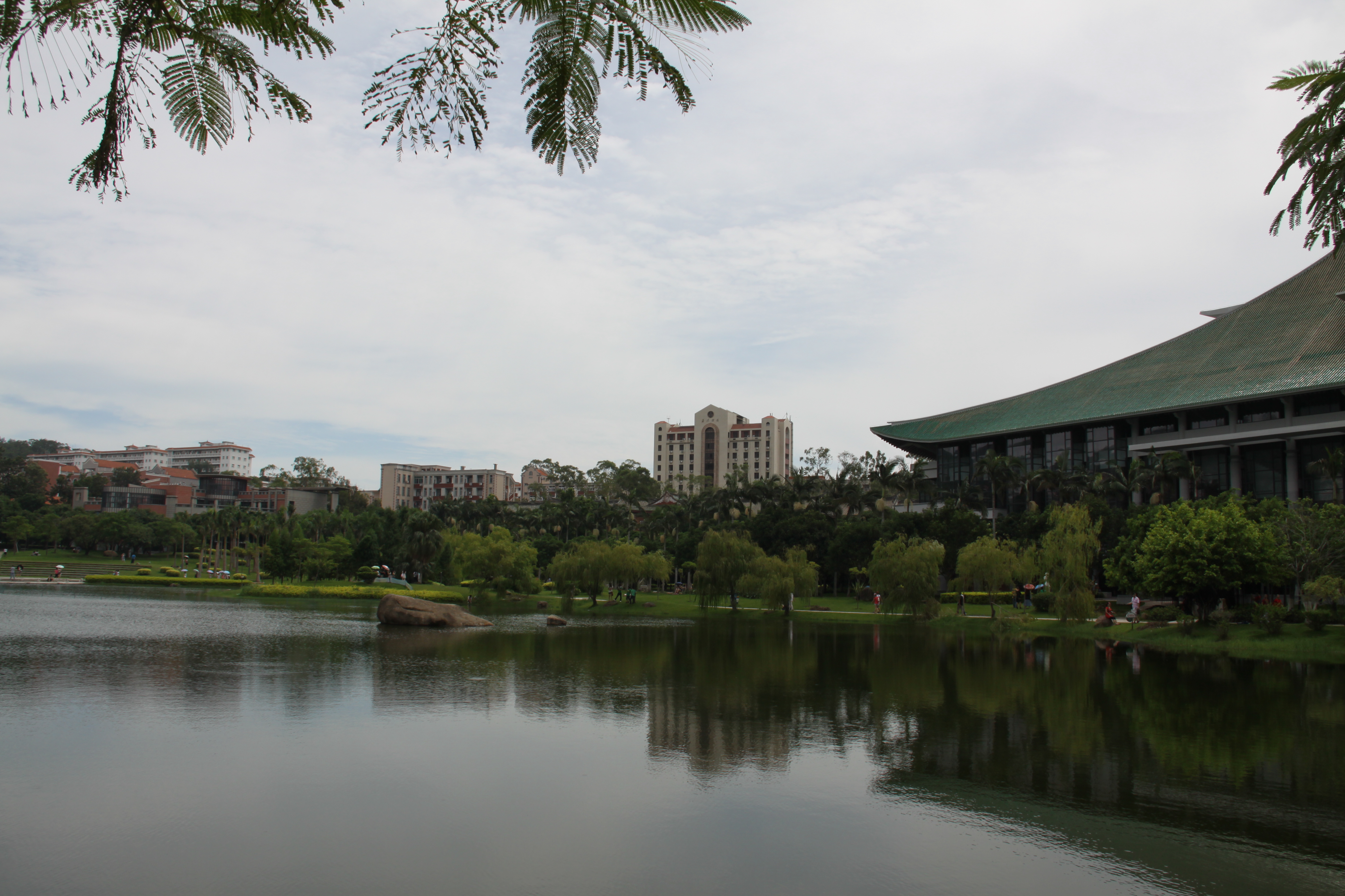 【携程攻略】厦门厦门大学芙蓉湖适合朋友出游旅游吗,厦门大学芙蓉湖