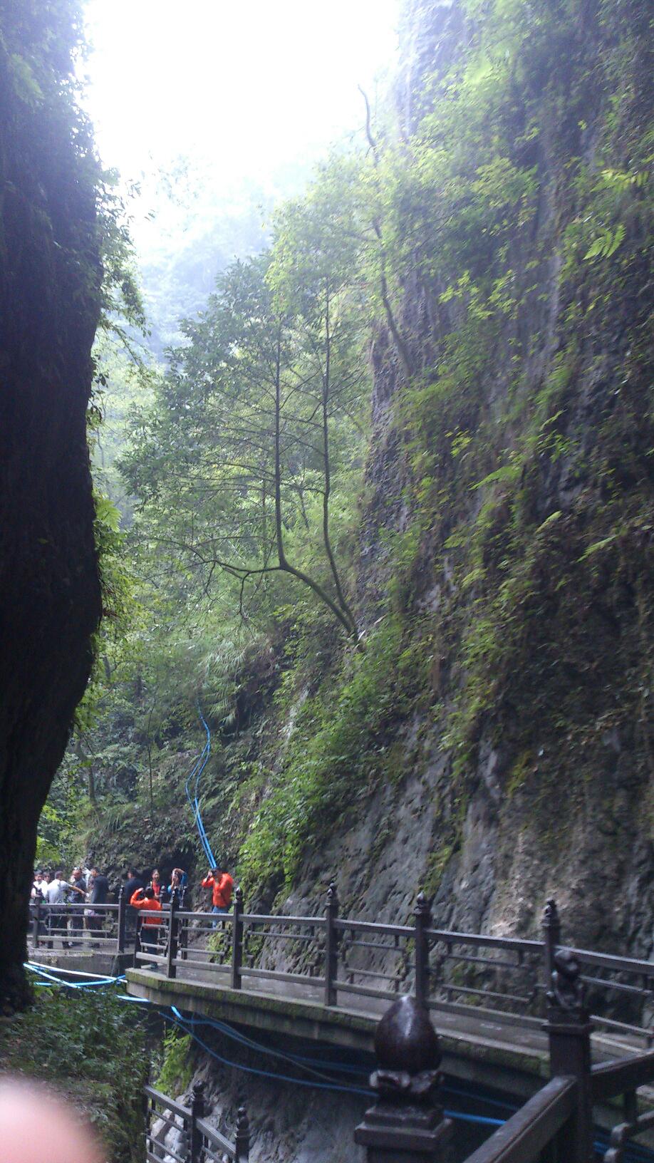 2019一線天_旅遊攻略_門票_地址_遊記點評,峨眉山旅遊景點推薦 - 去