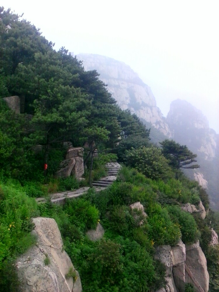 泰山风景区家庭亲子景点推荐/点评