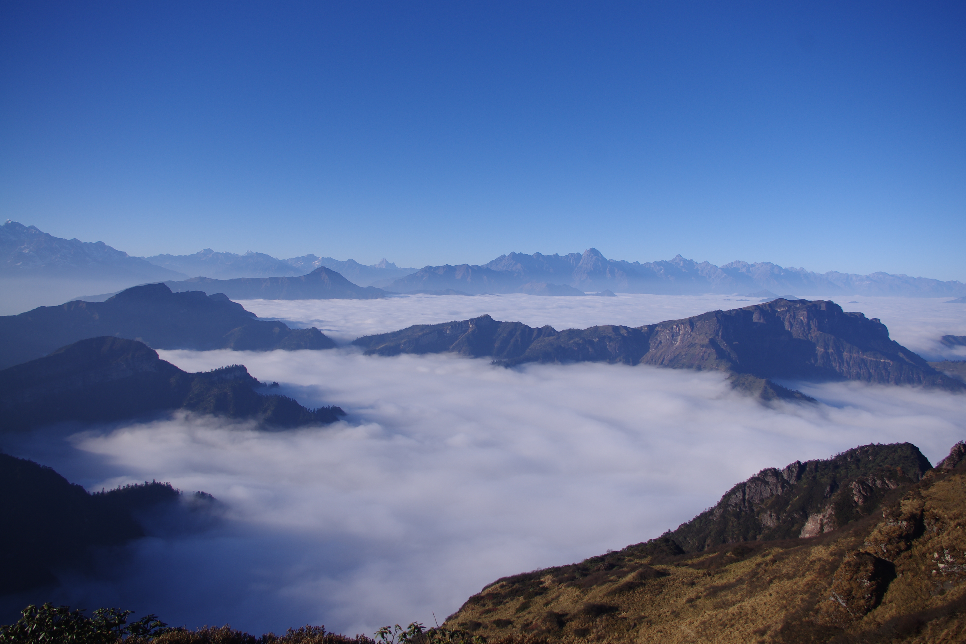 牛背山觀景