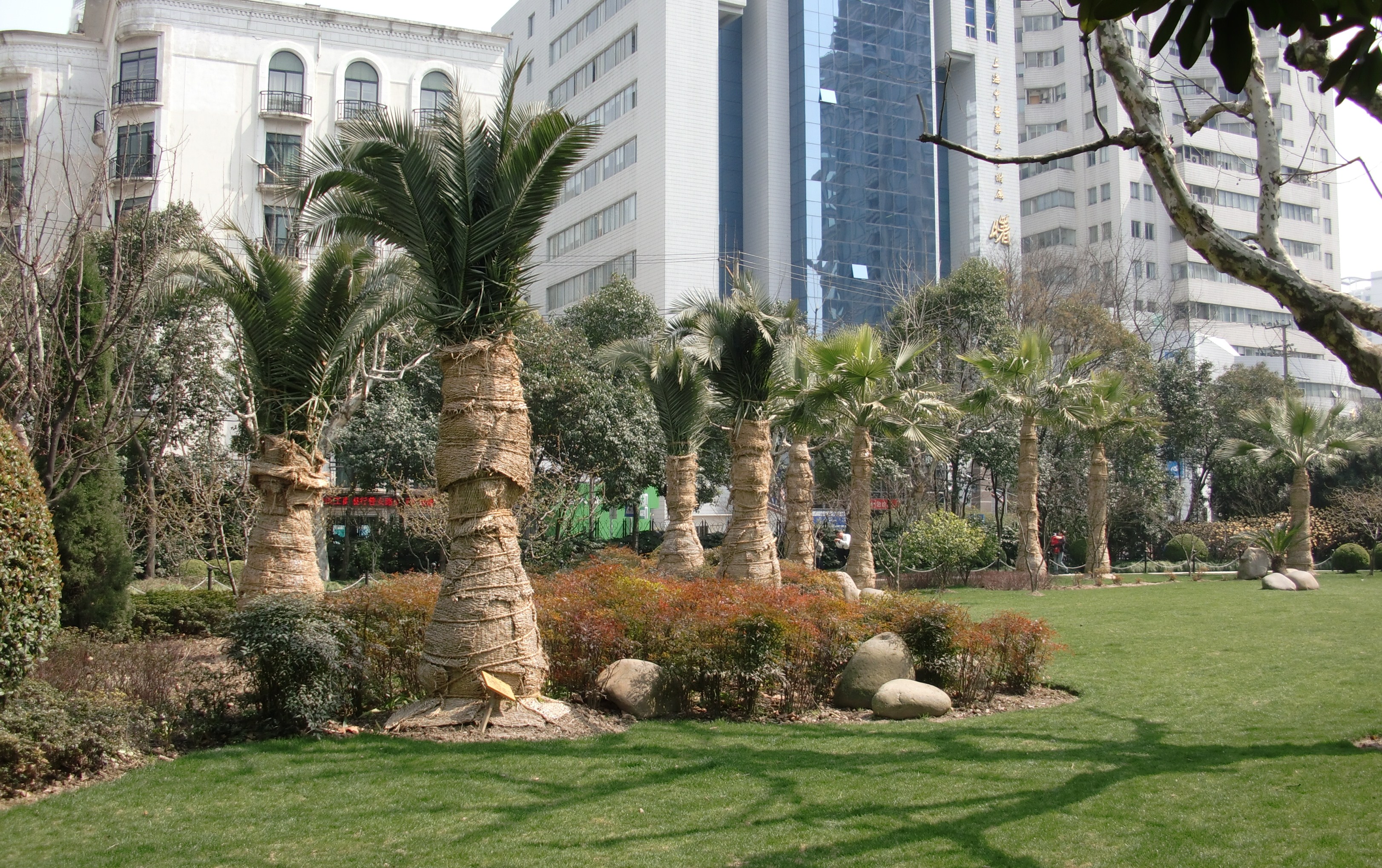 2019淮海公园_旅游攻略_门票_地址_游记点评,上海旅游景点推荐 - 去