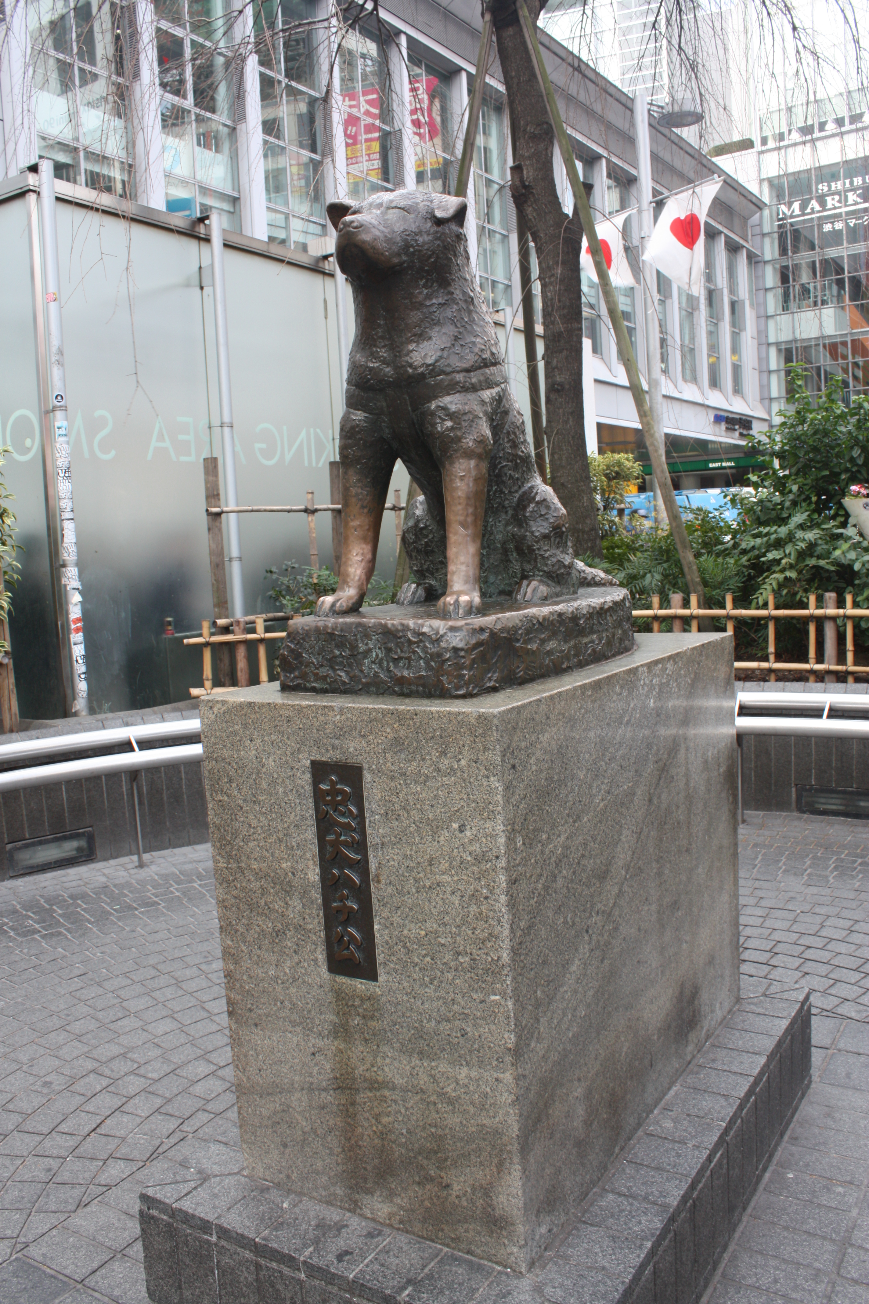 来次日本,改变人生