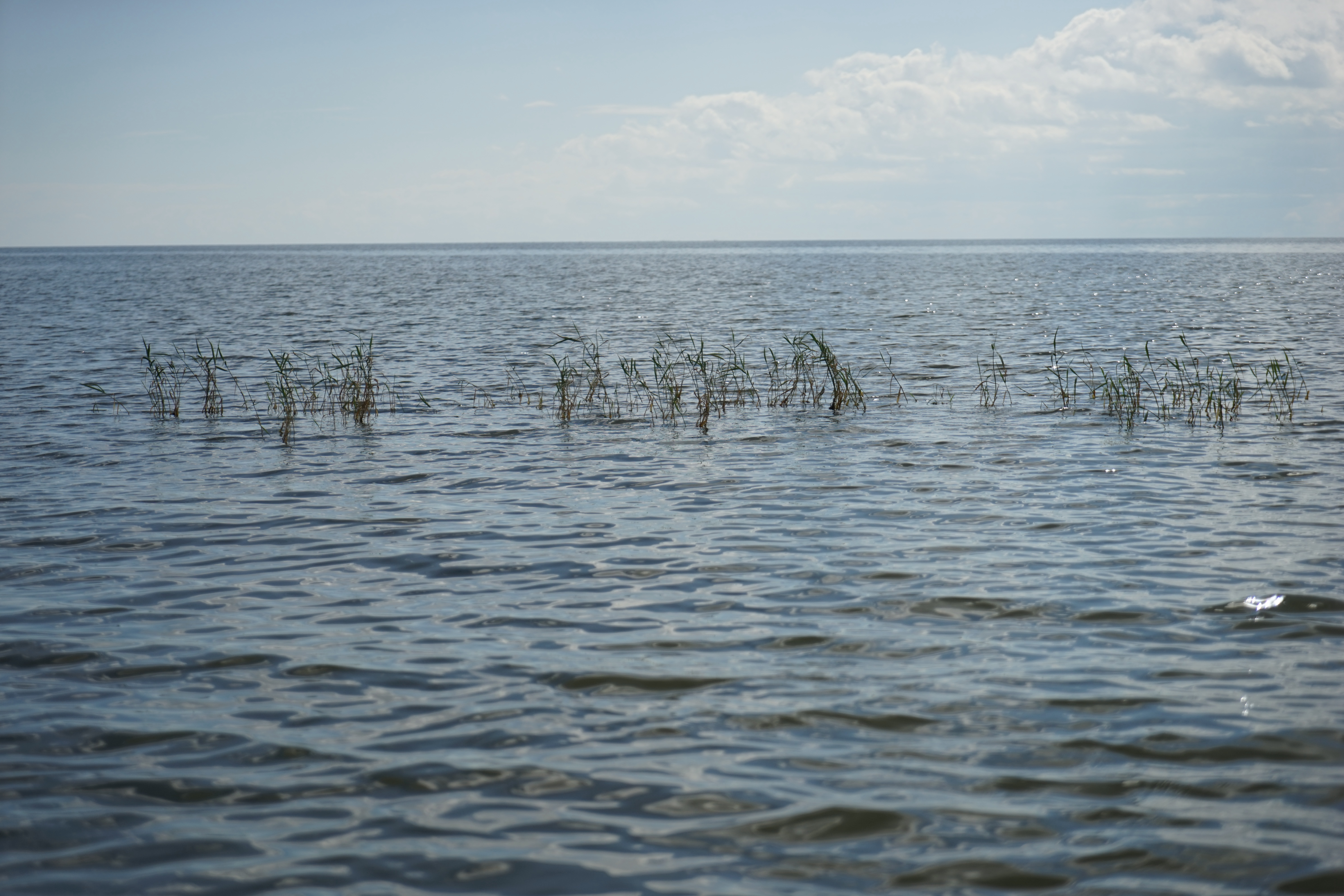 呼伦湖,又被称为达赉湖,位于内蒙古自治区呼伦贝尔市,面积2339平方