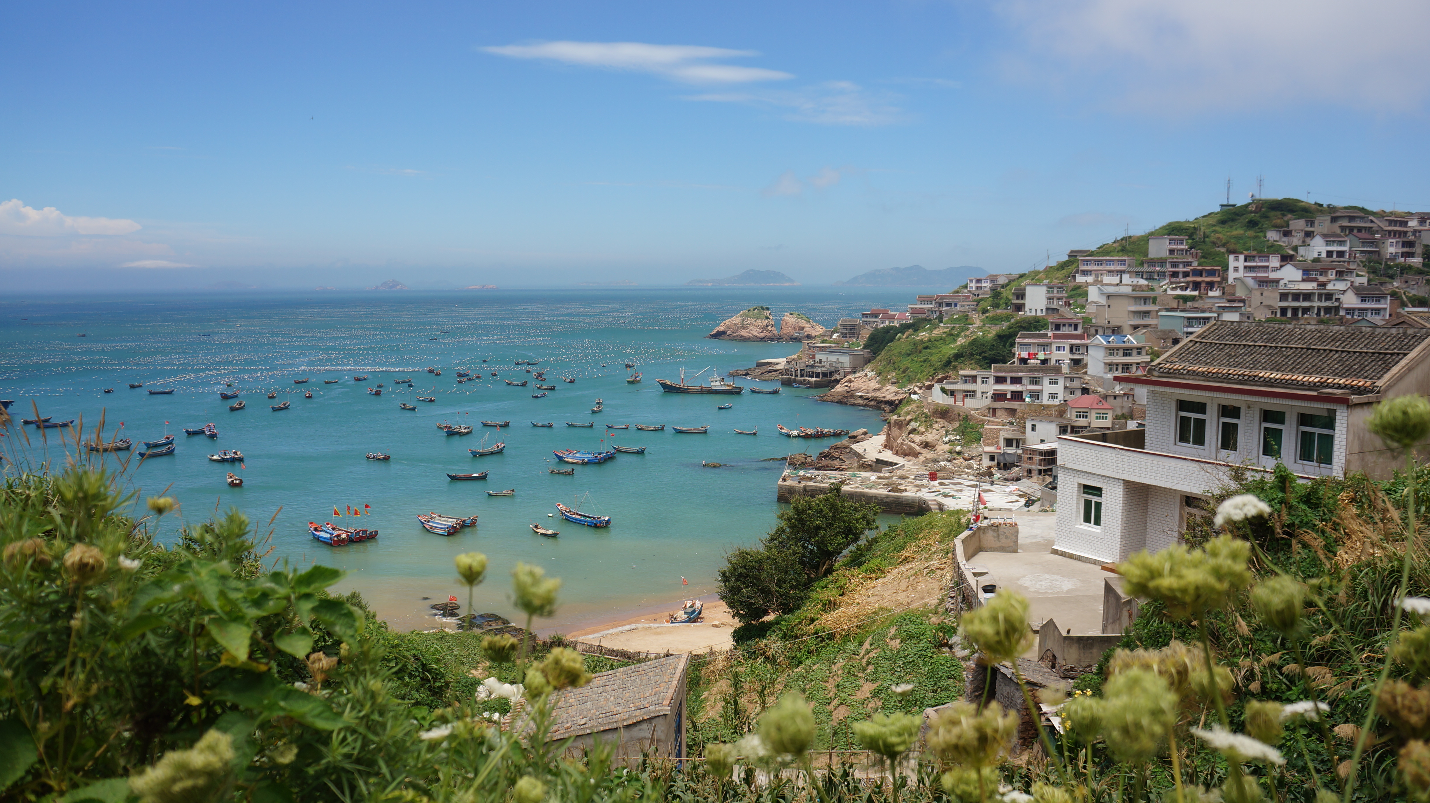 给你一个真正的蓝色枸杞 - 嵊泗游记攻略【携程攻略】