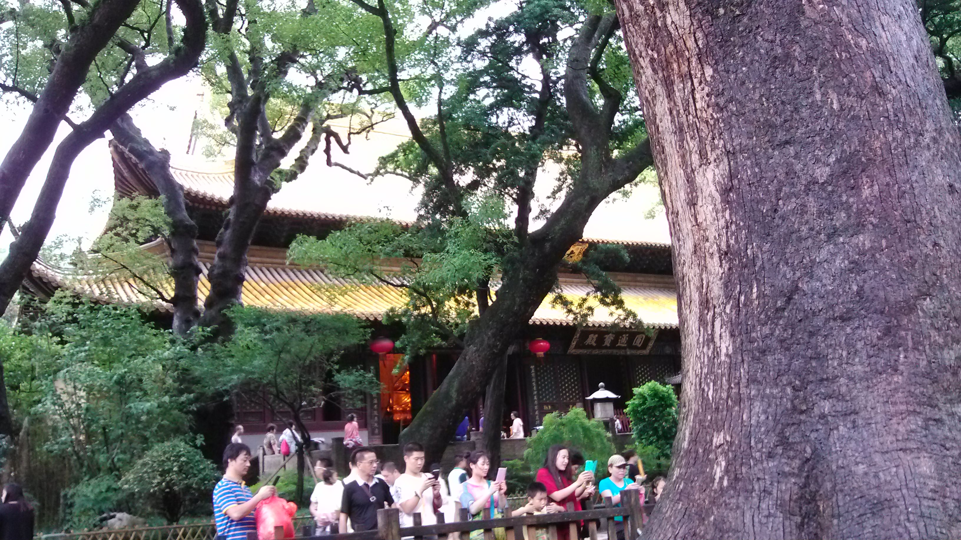 普陀山三日遊