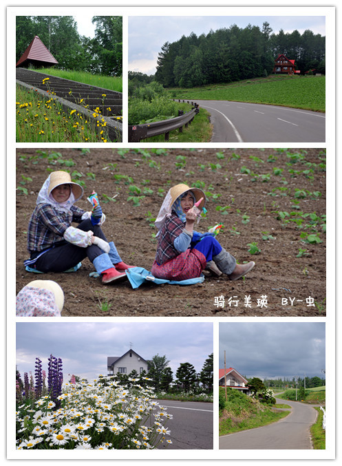 俩屌丝的六月北海道寻花之旅 北海道游记攻略 携程攻略 俩屌丝的六月北海道寻花之旅 北海道游记攻略 携程攻略