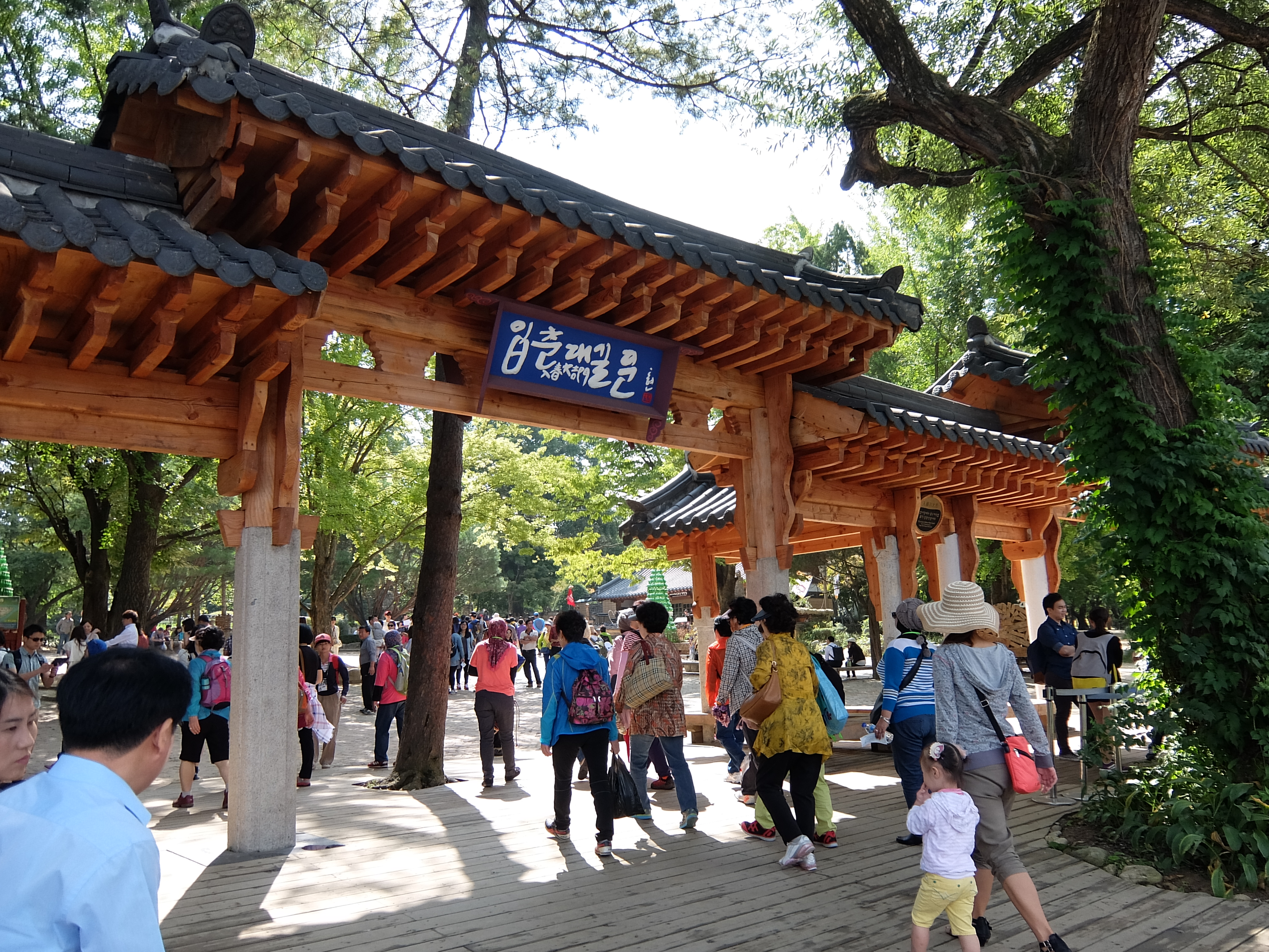 韩国有个春川 春川市游记攻略【携程攻略】
