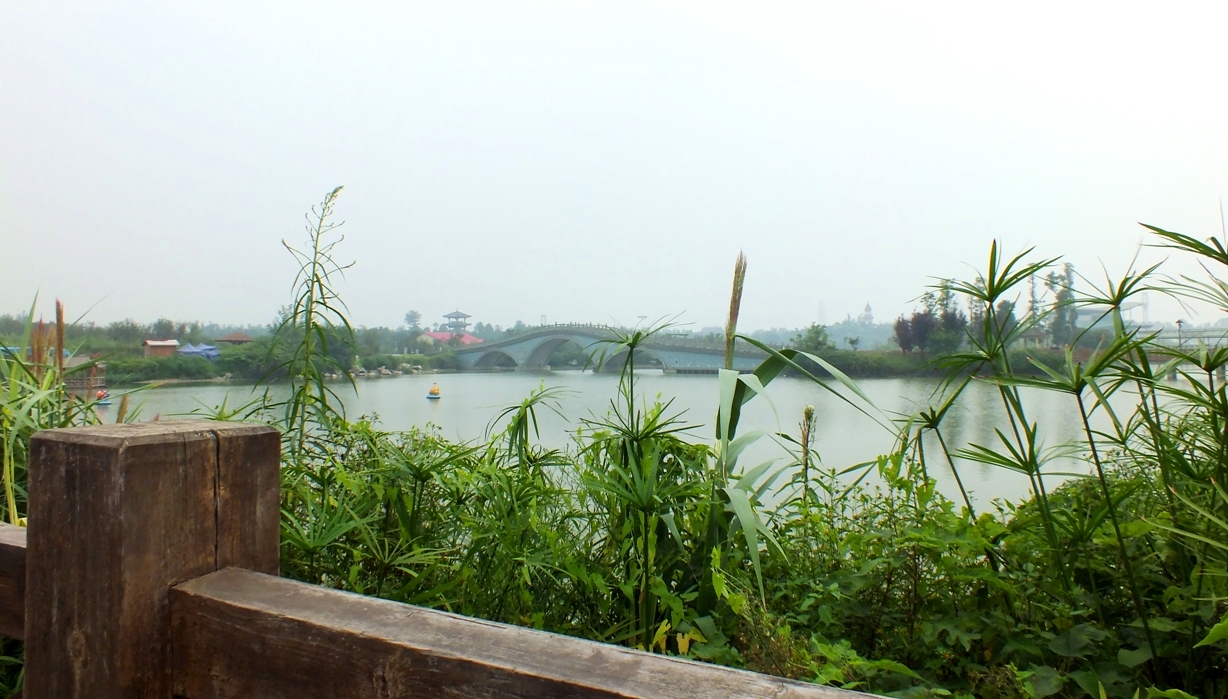 青白江鳳凰溼地公園