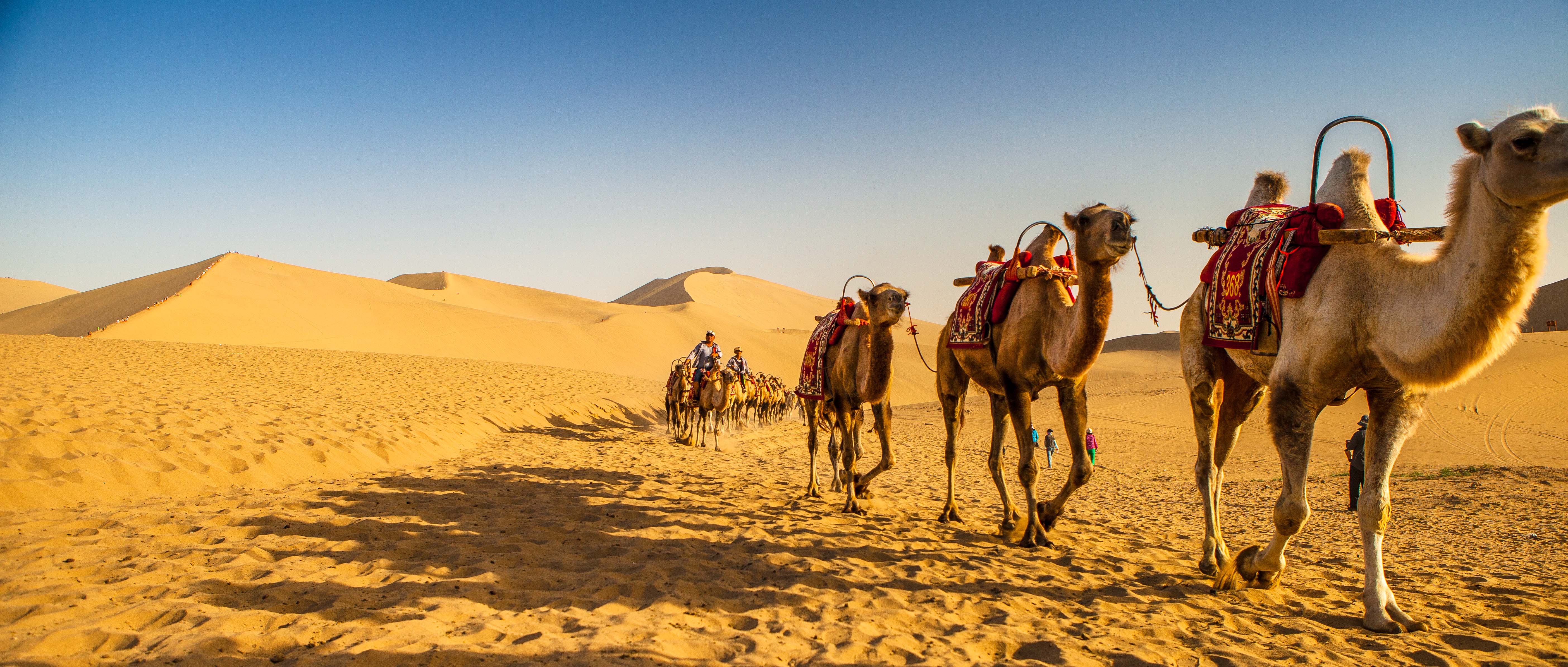 鸣沙山月牙泉绘画