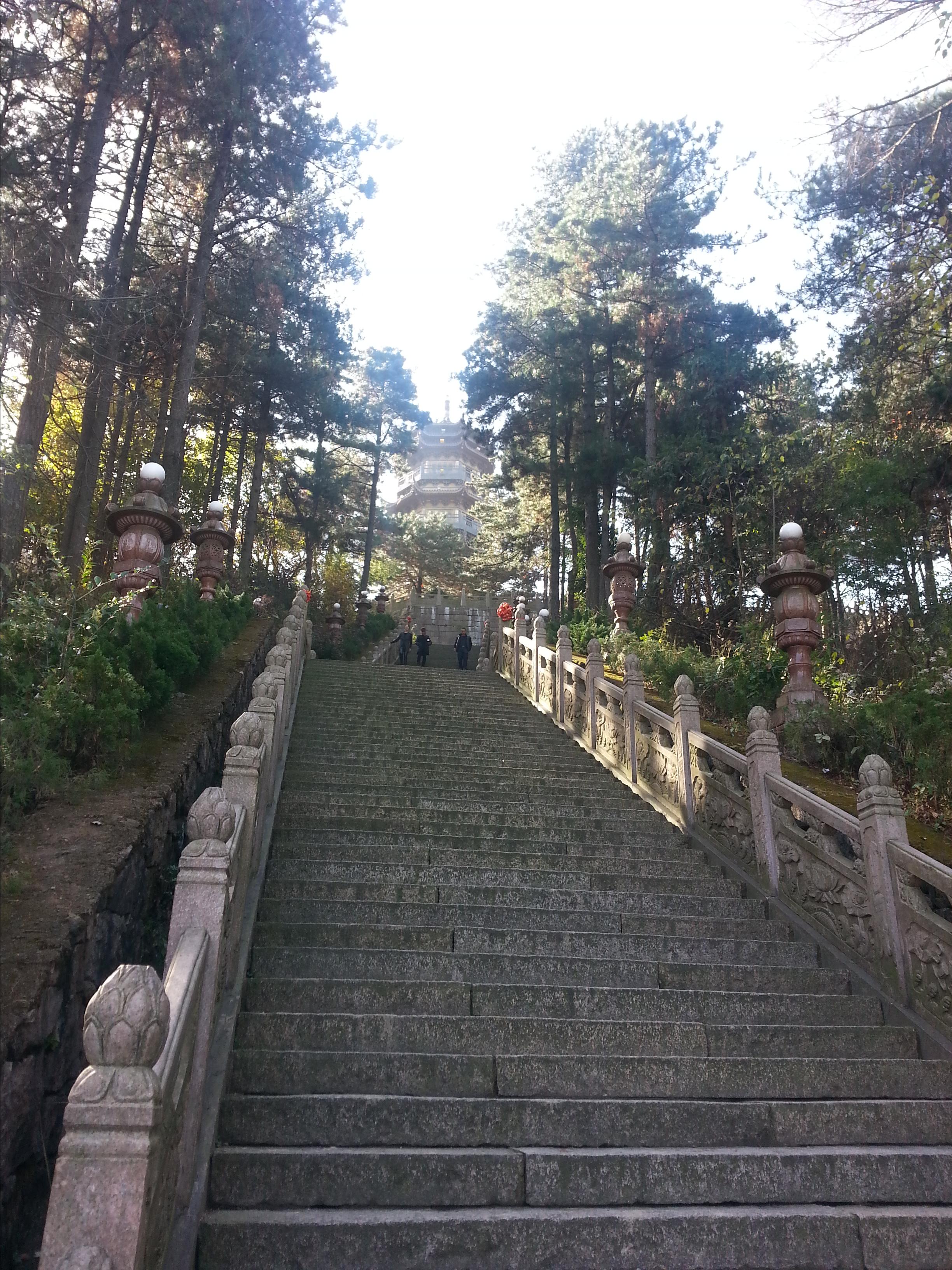 神奇靈秀地 大願九華山