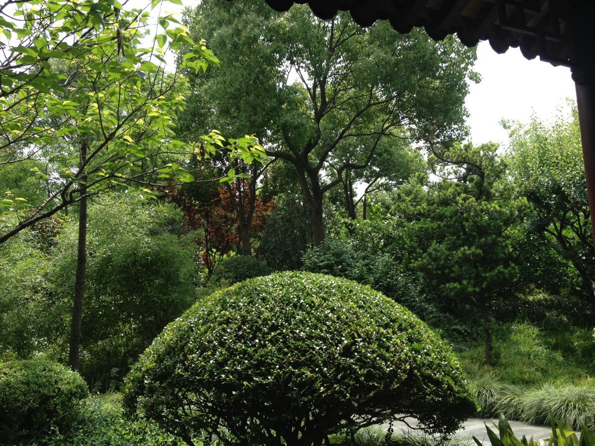 莘莊公園旅遊景點攻略圖