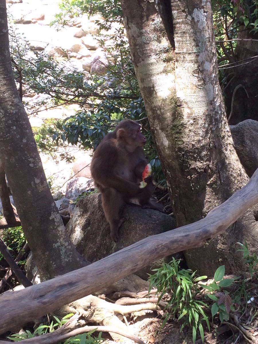【携程攻略】福建南平武夷山大安源好玩吗,福建大安源景点怎么样_点评