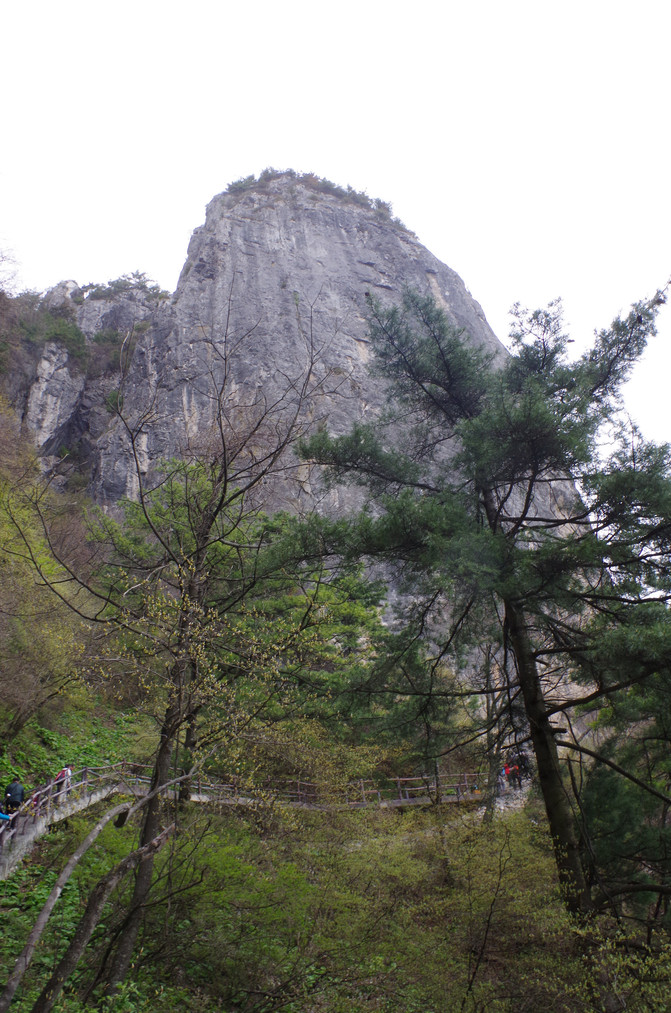 山阳县有多少人口_山阳县南宽坪镇窑口村村民举报村支书贪污数月无人过问(3)