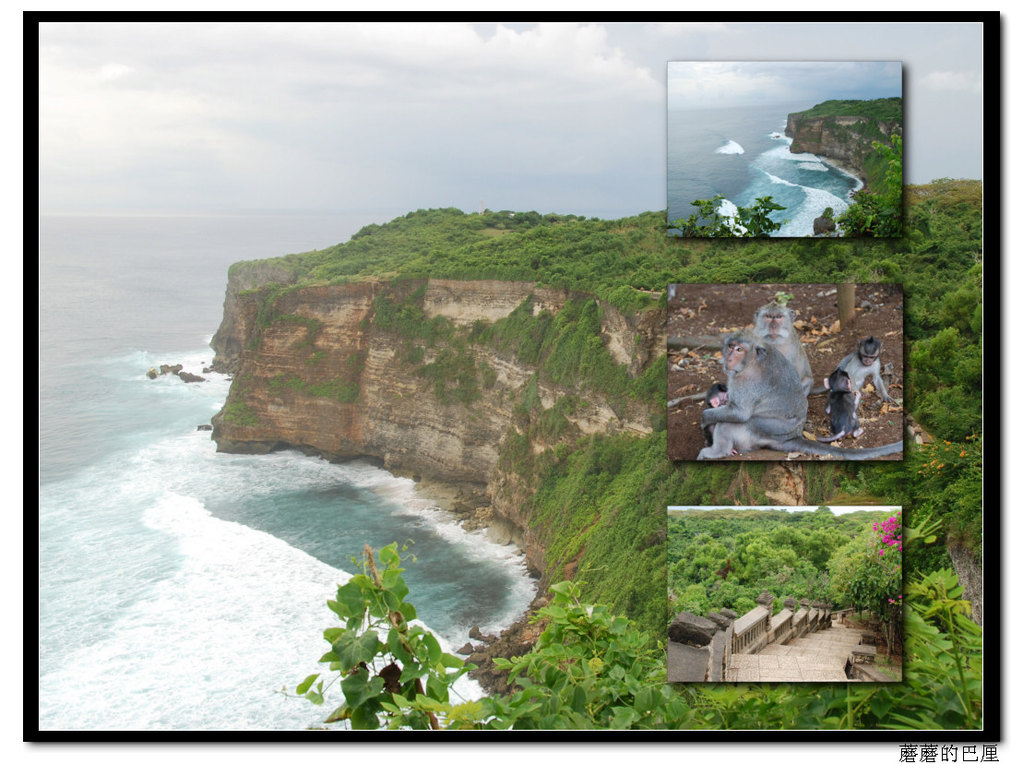 (uluwatu 情人崖的海, 猴子)