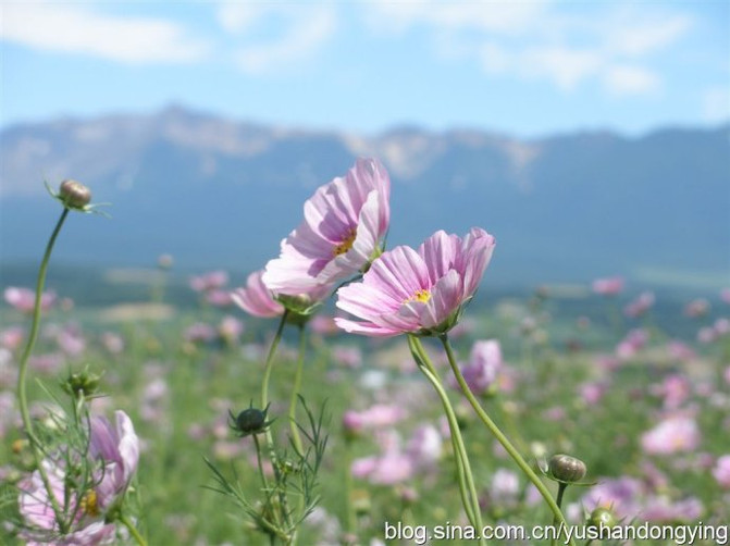 轻风和微风哪个大 06345d8327f64f108c3f2b8bcadb10d0_R_671_10000_Q90.jpg