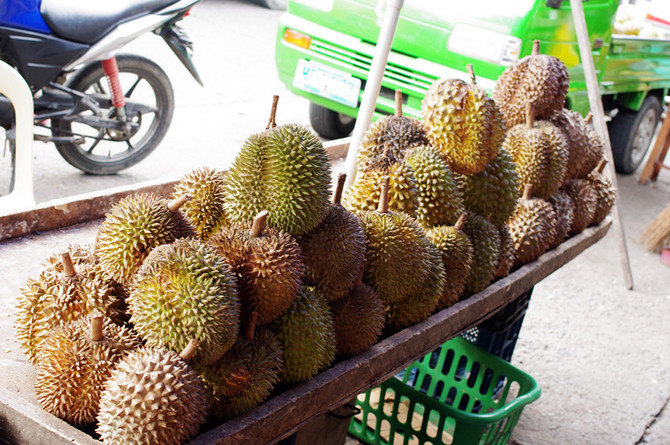 榴莲登场!~达沃最有名的就是这榴莲了.虽然个头不大.