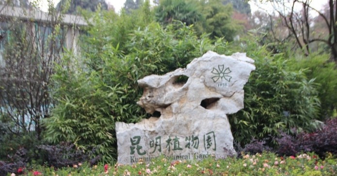 昆明植物园