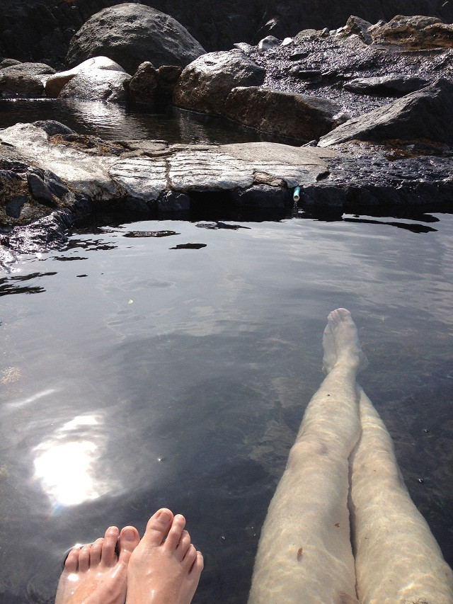 去日本跟团游还是自助游,这篇已经说透了