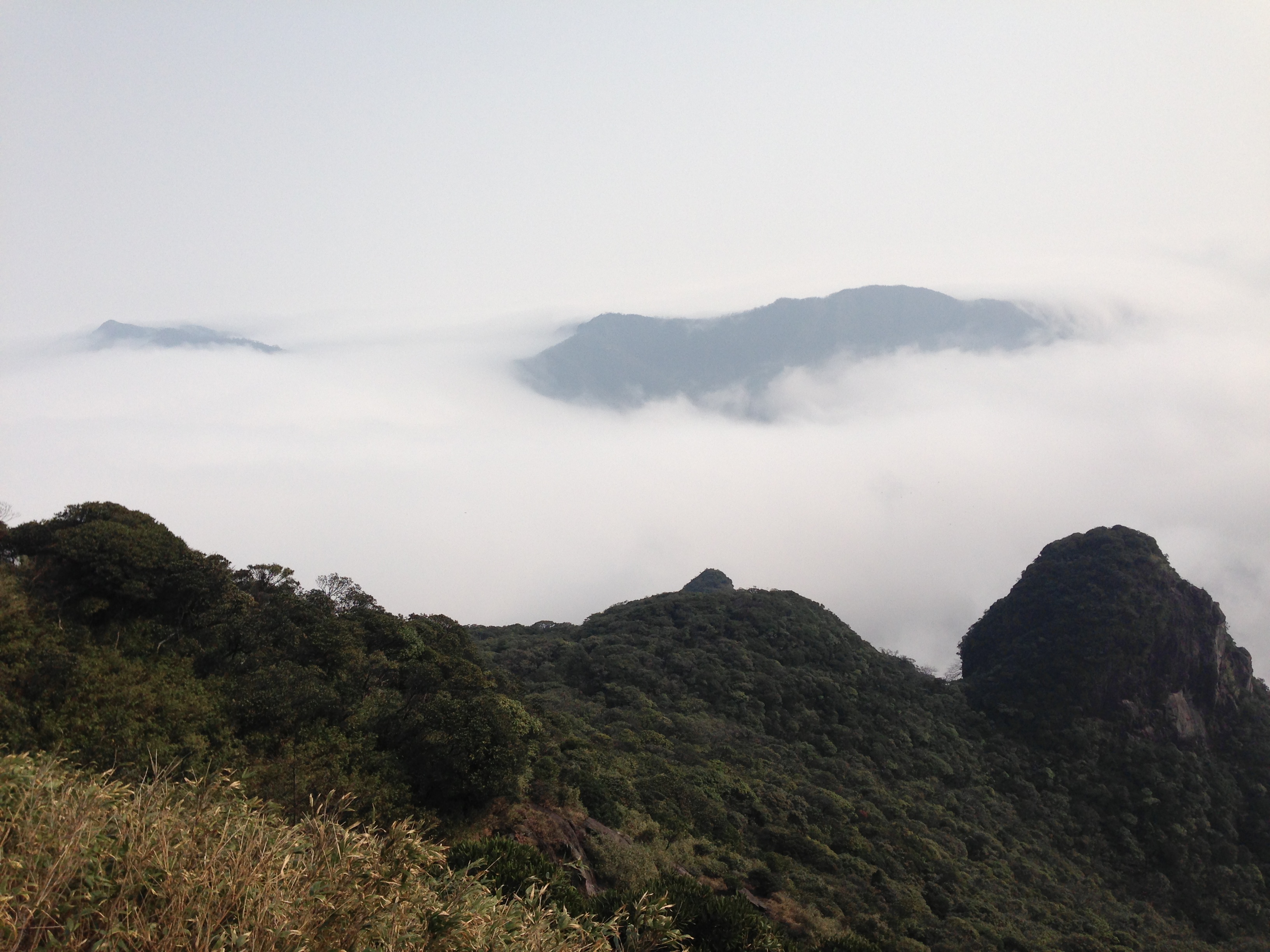 遊莽山,登廣東第一峰 - 攜程社區