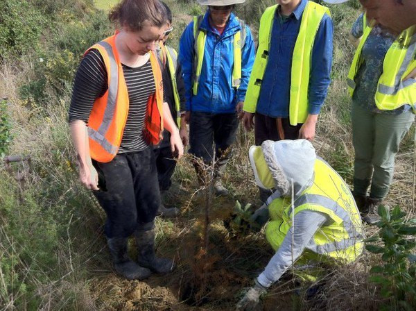边做义工边旅行の新西兰环保义工体验报告