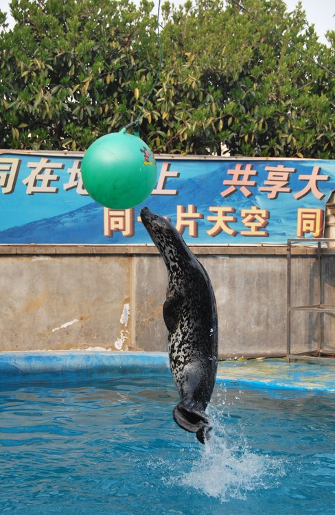 【携程攻略】无锡无锡海底世界适合家庭亲子旅游吗,无锡海底世界家庭